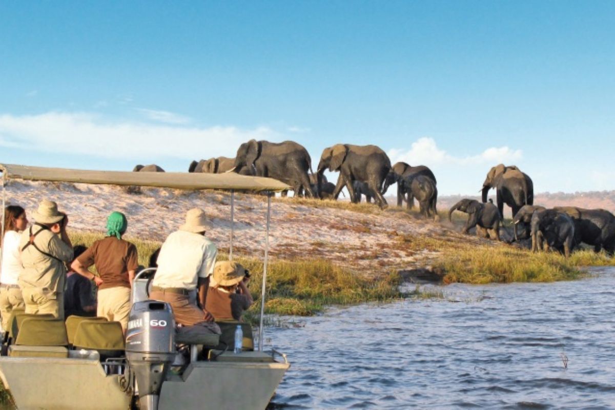 Boat Cruise at Lake Ihema in Akagera National Park of Rwanda