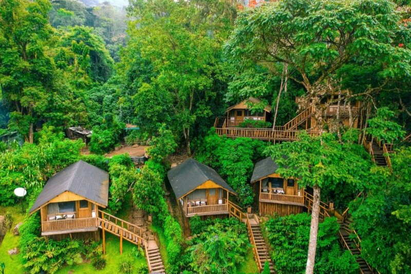 Buhoma Lodge - Where to Stay in Bwindi