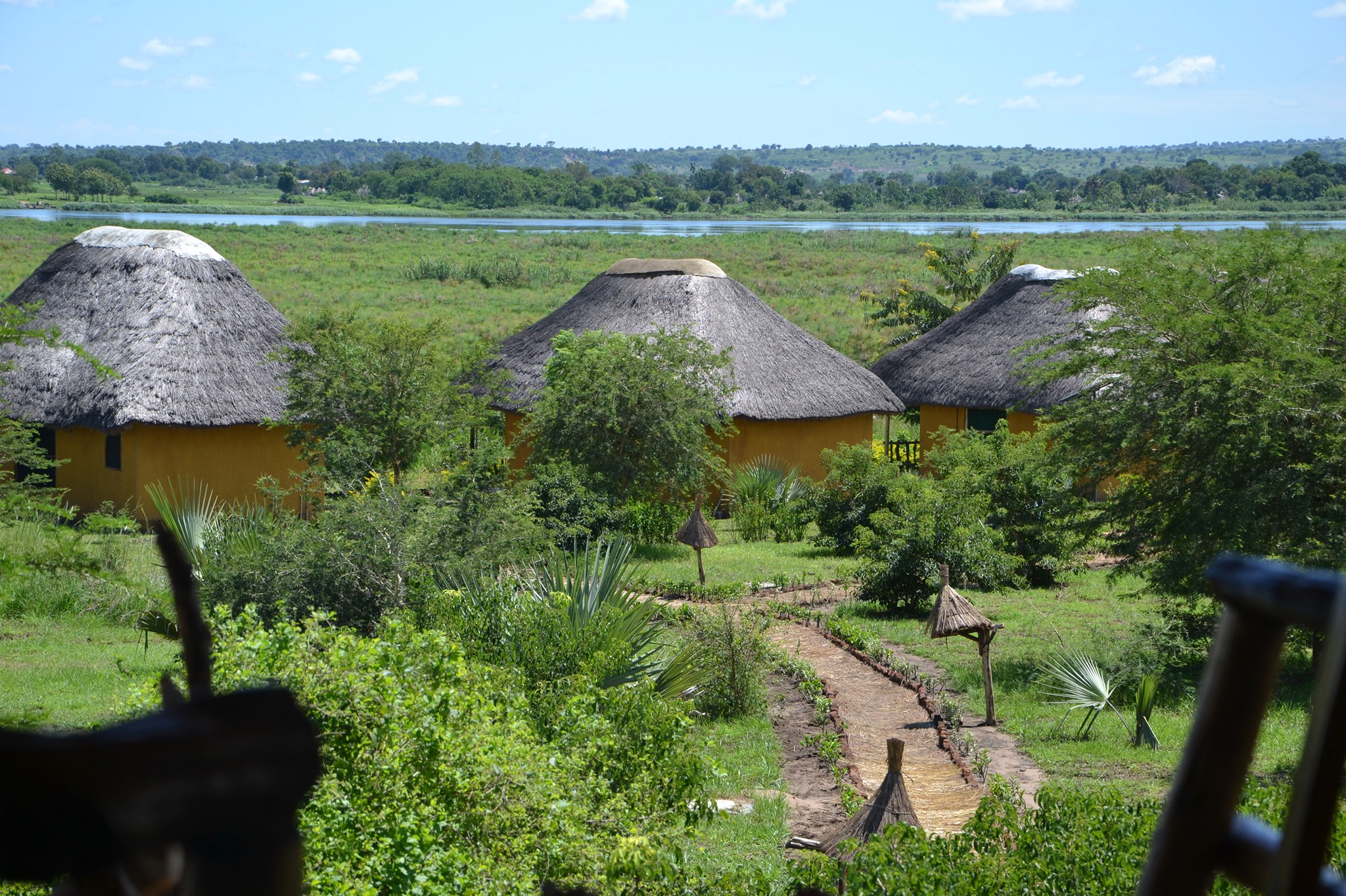 Hornbill Bush Lodge - Murchison Falls Best Lodges