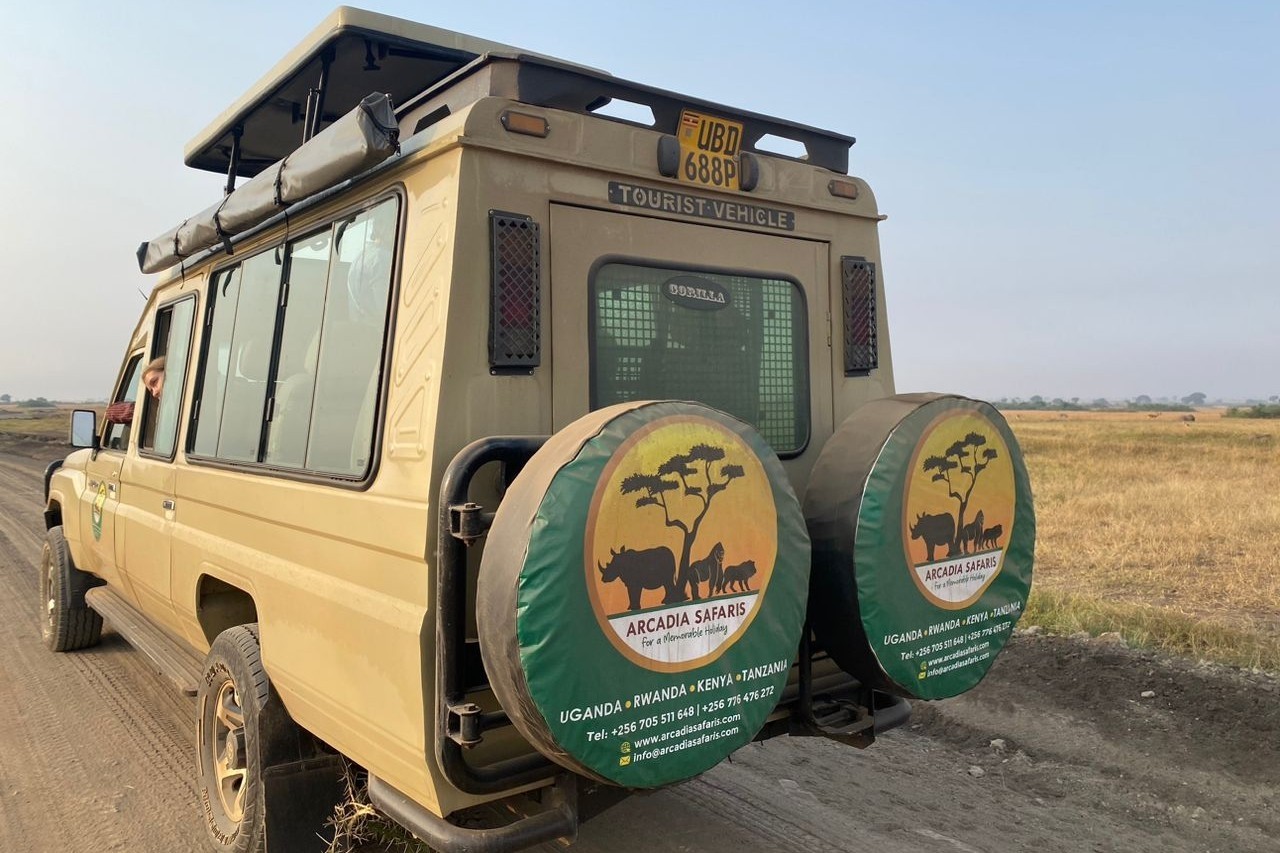 Best Uganda Safaris and Tours: Top Packages and Cost