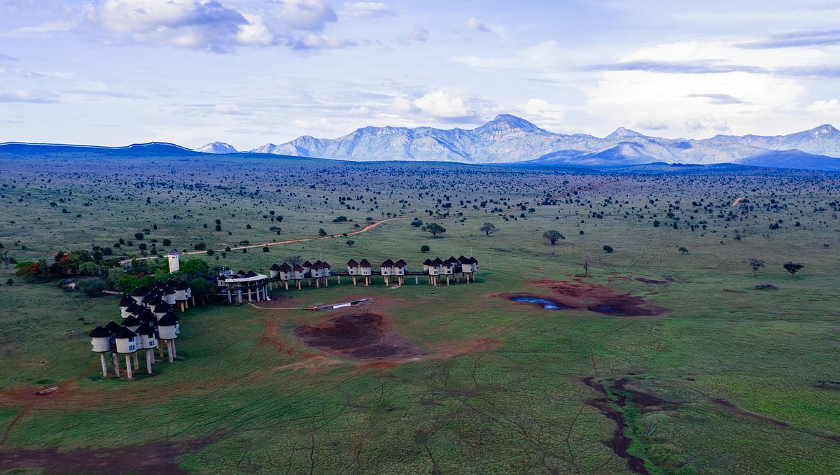 Salt Lick Lodge in Taita Hills Wildlife Sanctuary