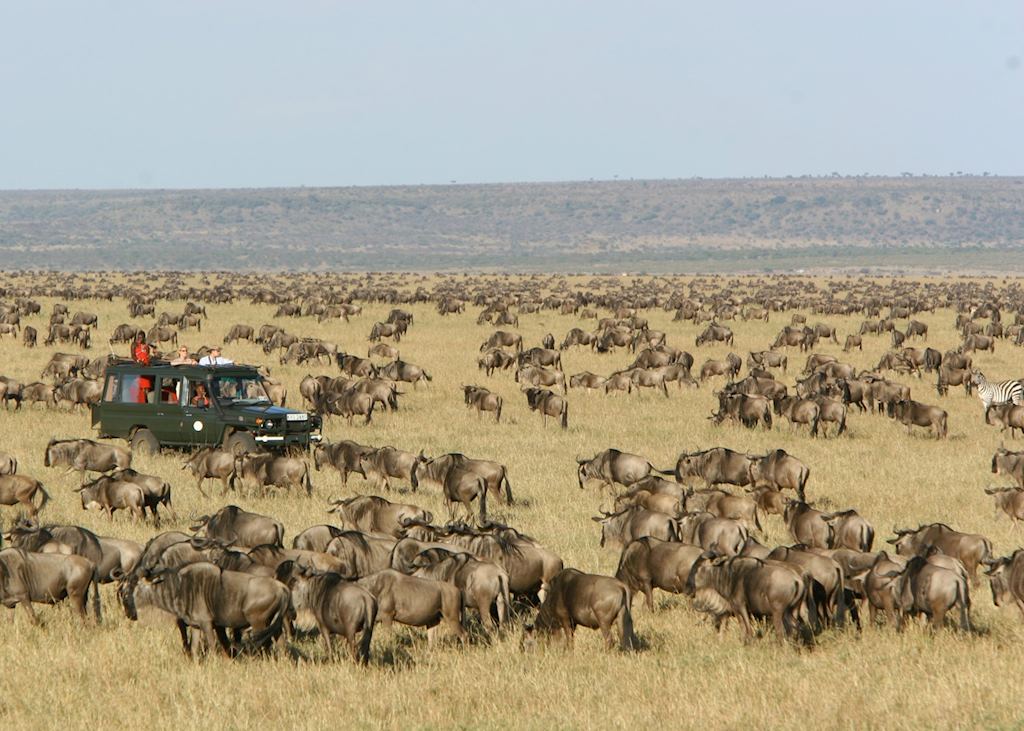 Things to do in Maasai Mara