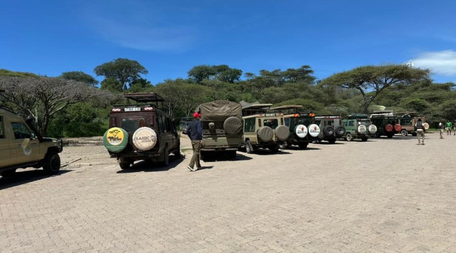Busy moments in Serengeti
