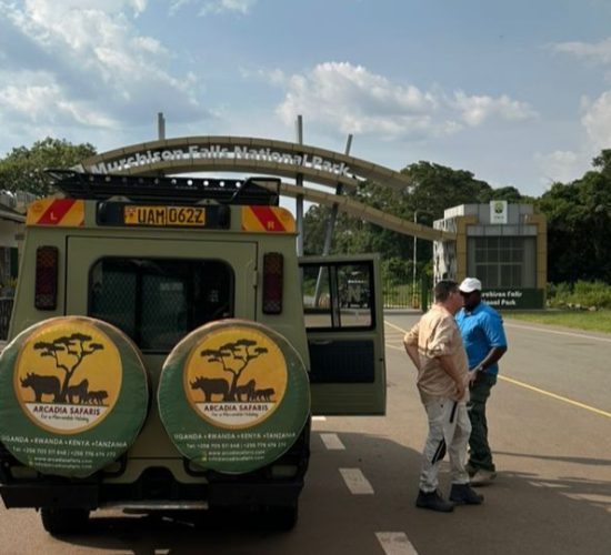 Check-in at Murchison Falls National Park of Uganda