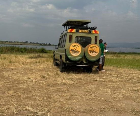 Game drive in Murchison Falls National Park