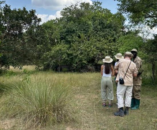 Our Guests inside Zziwa Rhino Sanctuary for Rhino Tracking