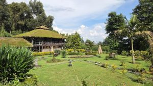 Our Guests stay at Davinci Gorilla Lodge - Volcanoes National Park Rwanda