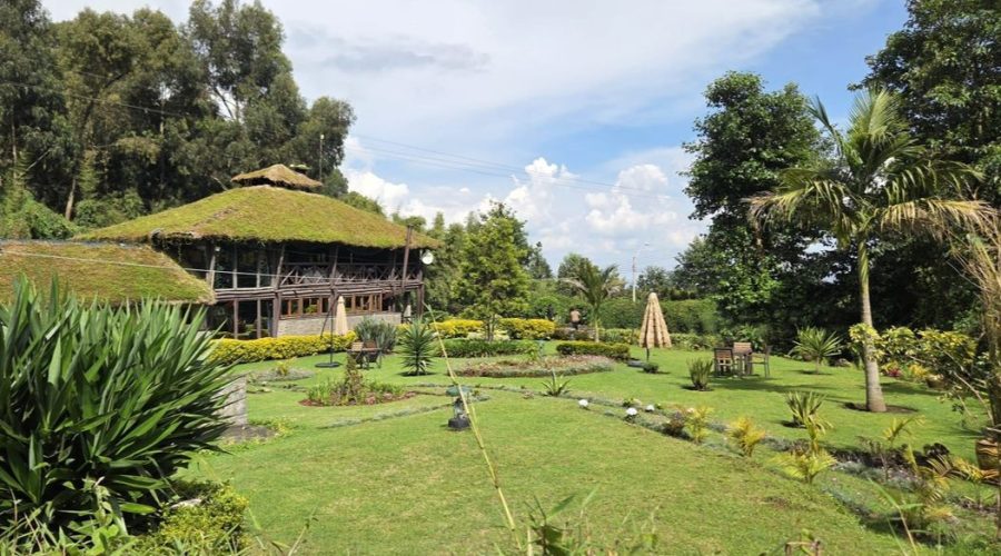 Our Guests stay at Davinci Gorilla Lodge - Volcanoes National Park Rwanda