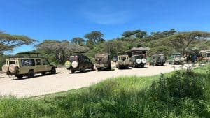 Safari Time in Serengeti