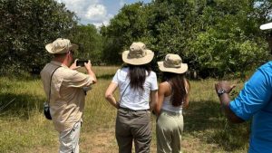 Tracking and Seeing Rhinos at Zziwa Rhino Sanctuary