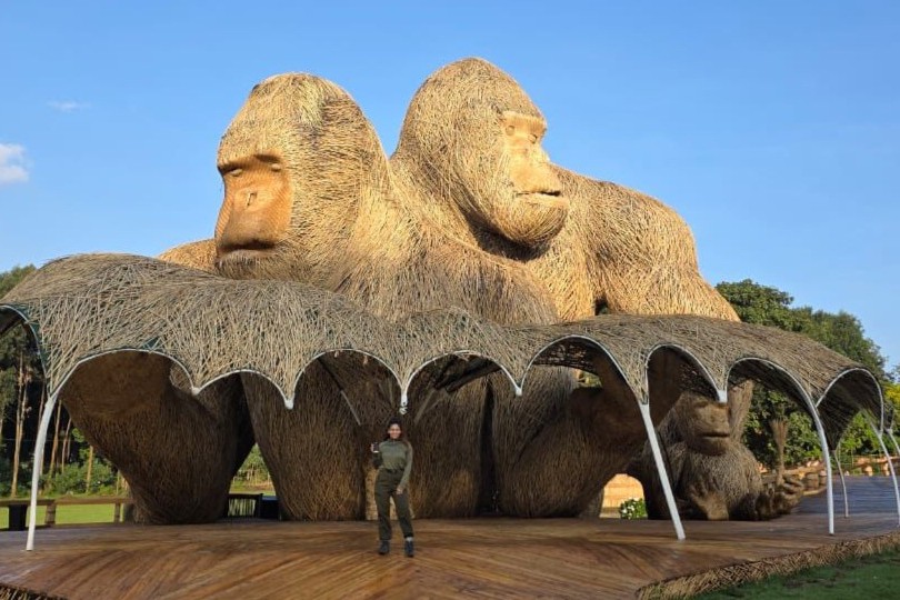 Best Time to Visit Volcanoes National Park Rwanda