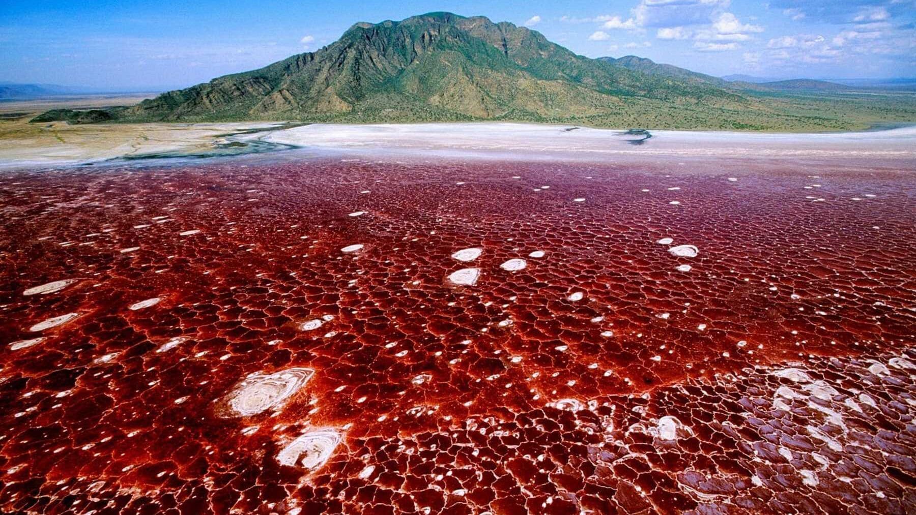 The Blood Red Alkaline Lake - Natron