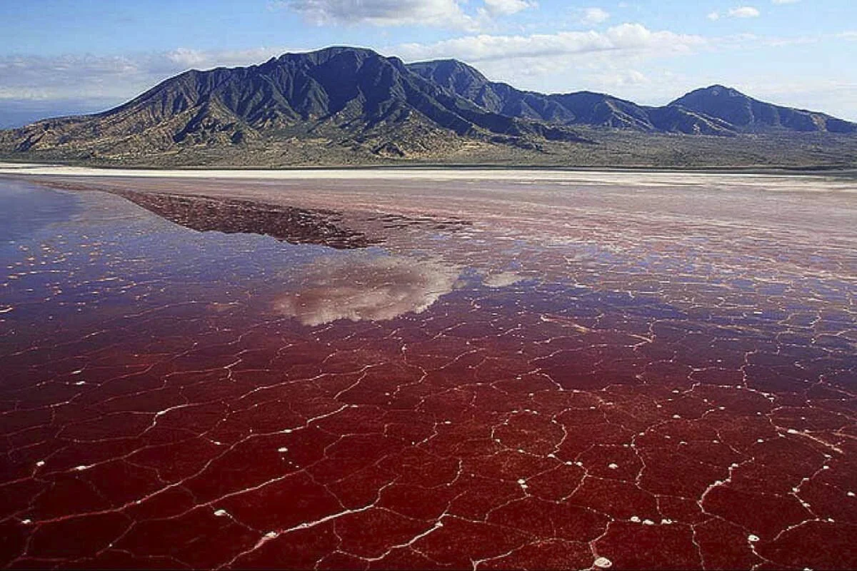 Lake Natron of Tanzania: The Alkaline Blood Red Lake