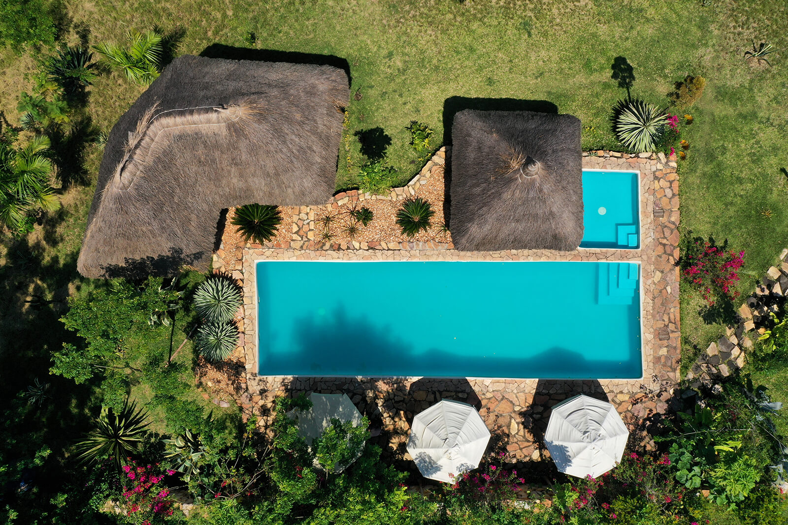 Papaya Lake Lodge Swimming Pool