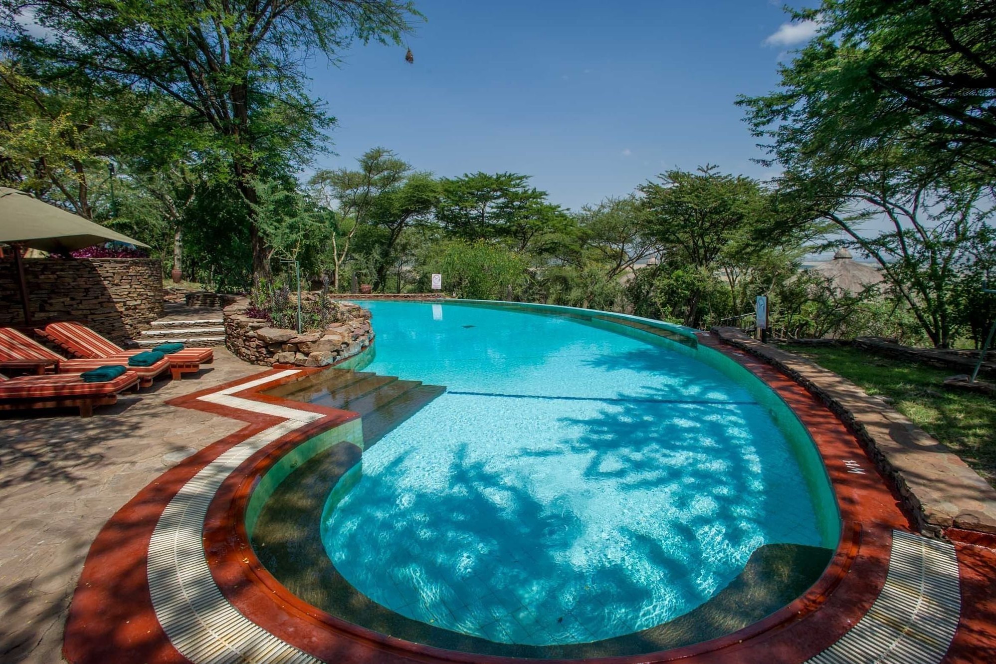 Serengeti Serena Safari Lodge - Swimming Pool